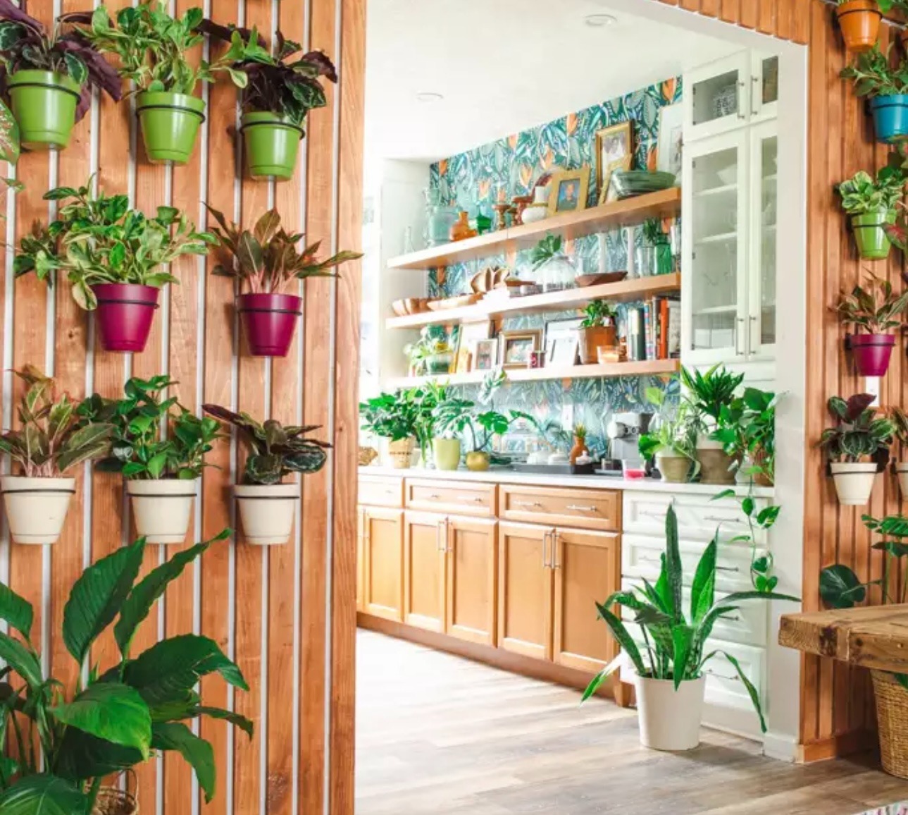 Indoor vertical garden featuring colorful potted plants mounted on wooden slats, with a plant-filled kitchen area and open shelving visible in the background.
