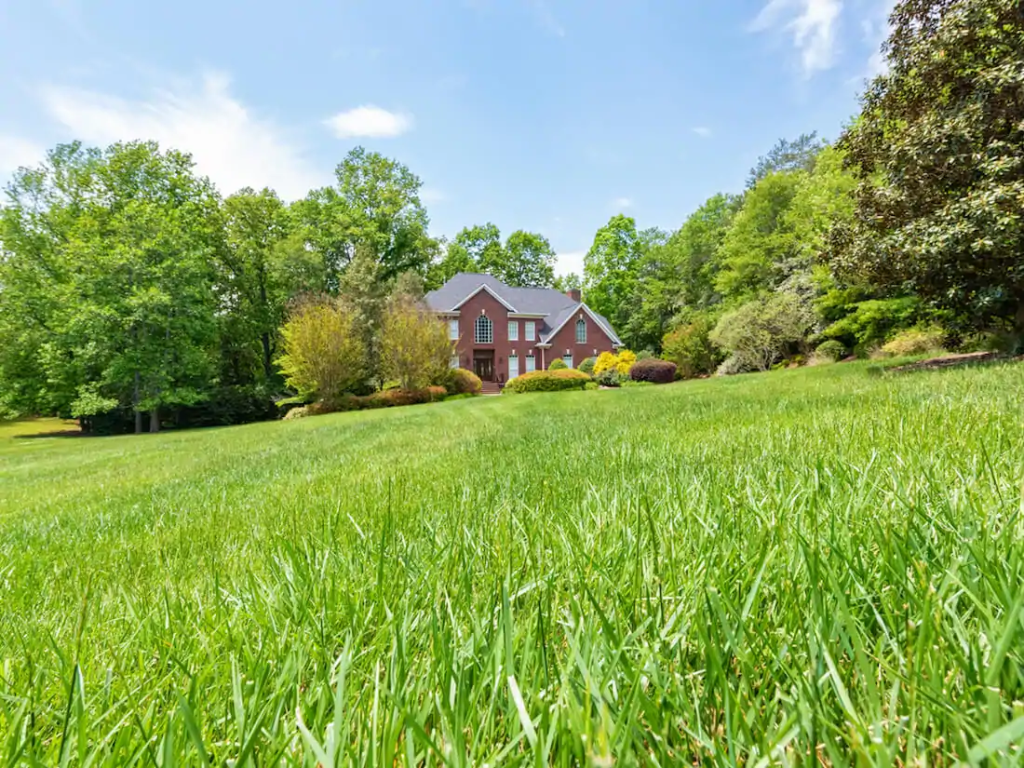 lush green residential lawn in front of large house surrounded by trees