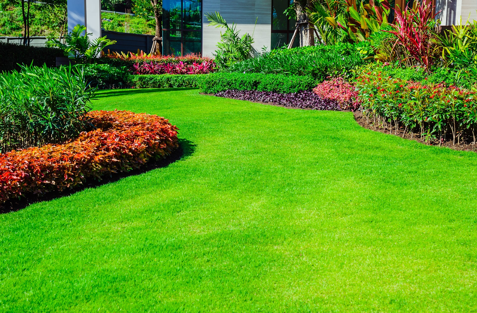 beautiful landscaped garden with lush green lawn and colorful ornamental plants
