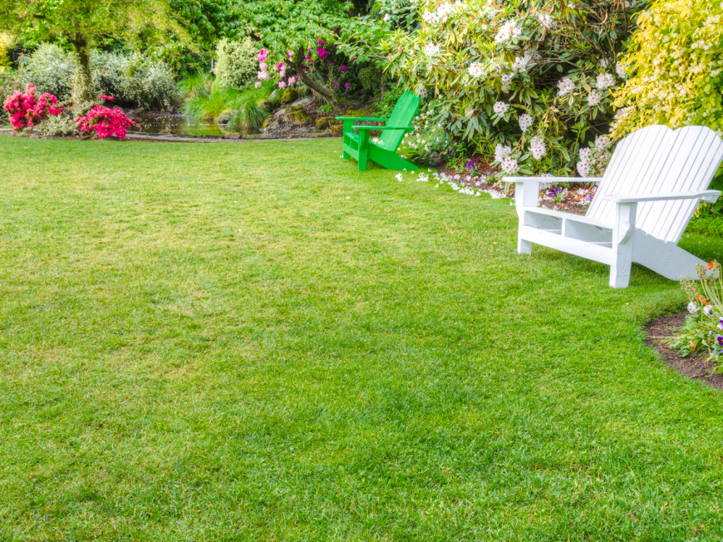 lush backyard lawn with garden chairs and colorful flowering plants