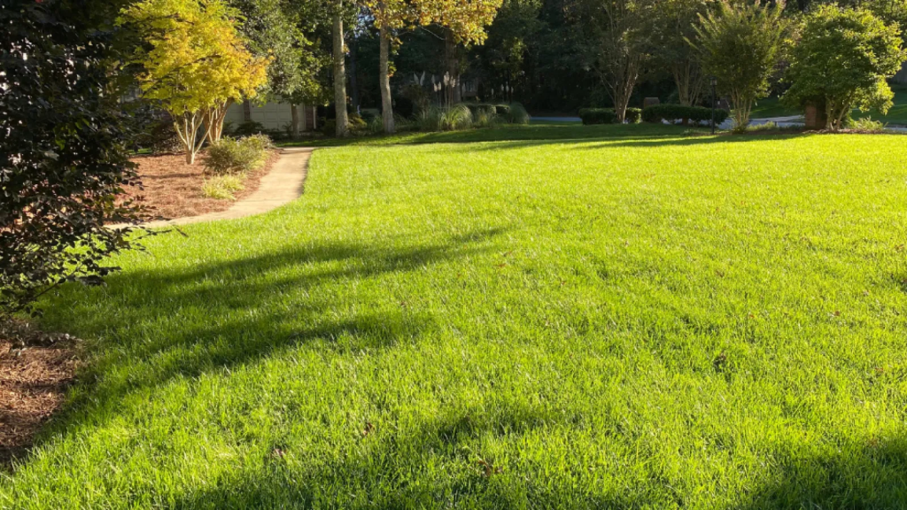 healthy green residential lawn with trees and landscaped garden pathway