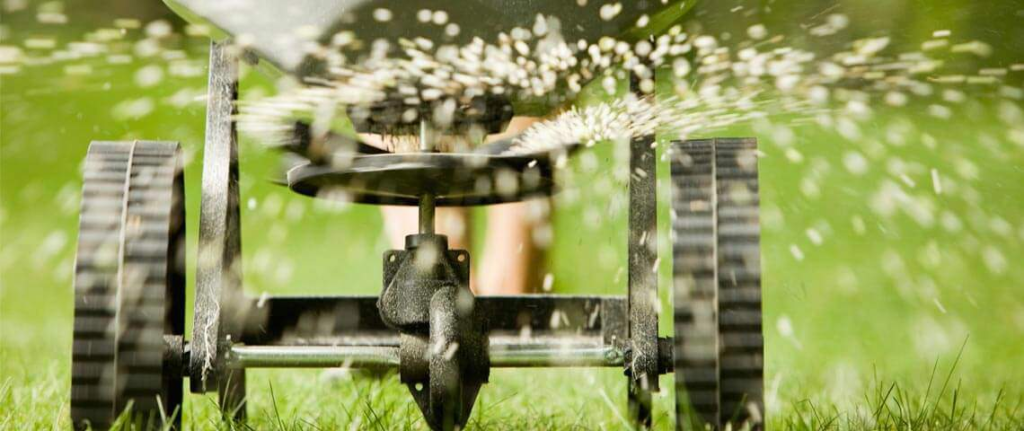 close up of lawn spreader distributing seed or fertilizer across healthy grass