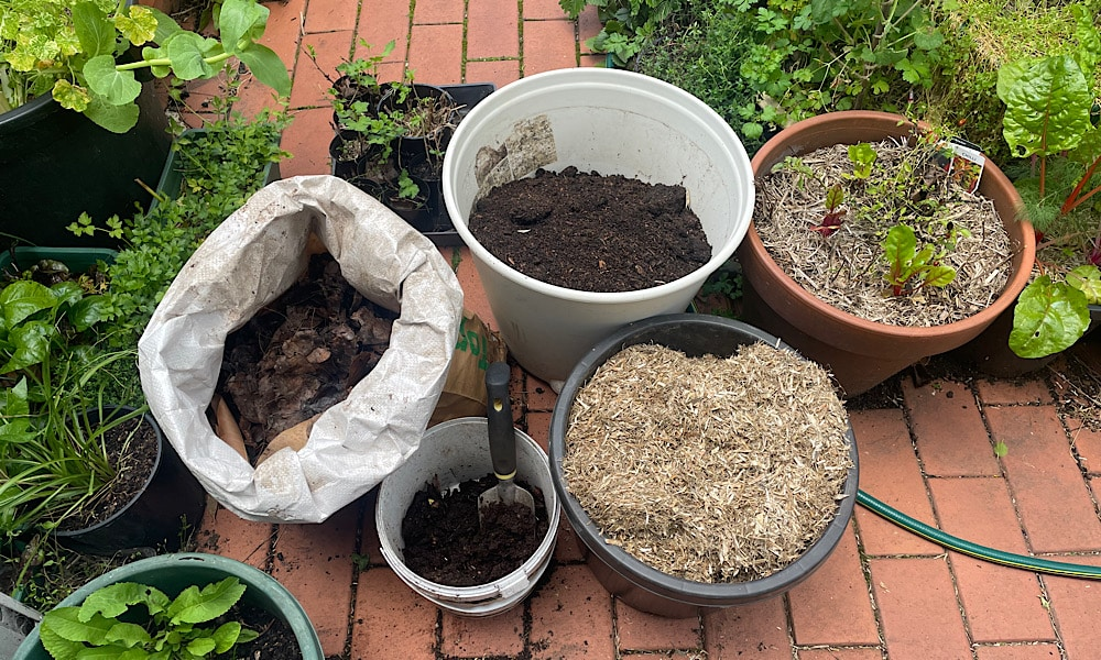 Buckets of compost and soil for garden planting