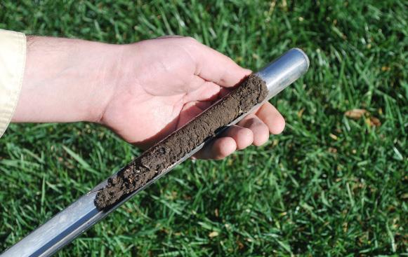 Soil core sample held in a probe above grass, used for testing lawn health