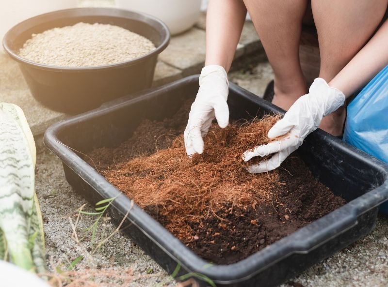 Hands mixing soil and coconut fiber in a tray