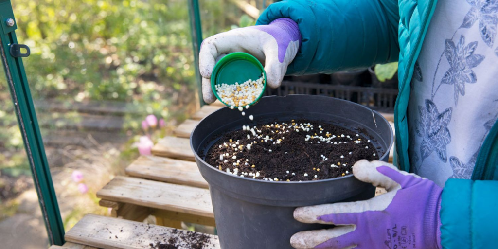 Gardener adding fertilizer to soil in a black pot