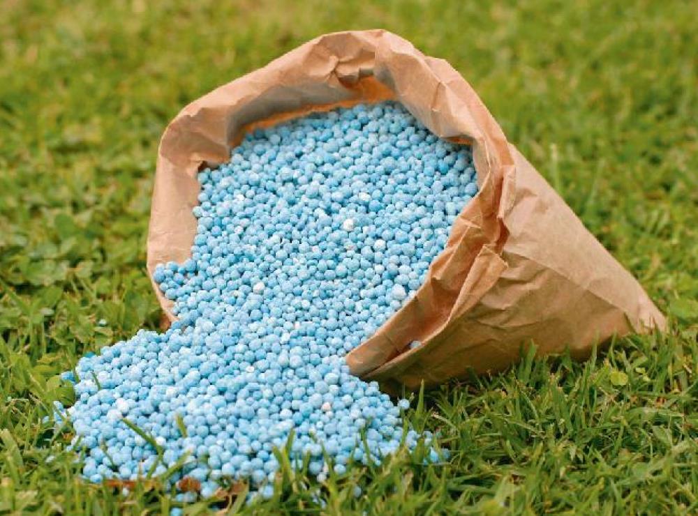 Blue granular lawn fertilizer spilled from a paper bag onto green grass