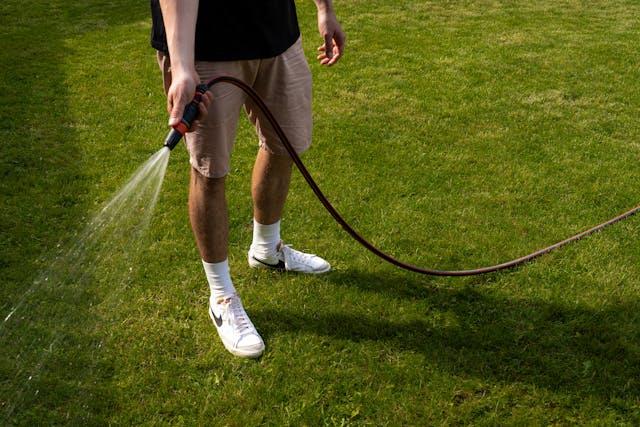 A man watering a lawn with a hose, ensuring proper hydration for healthy grass growth.