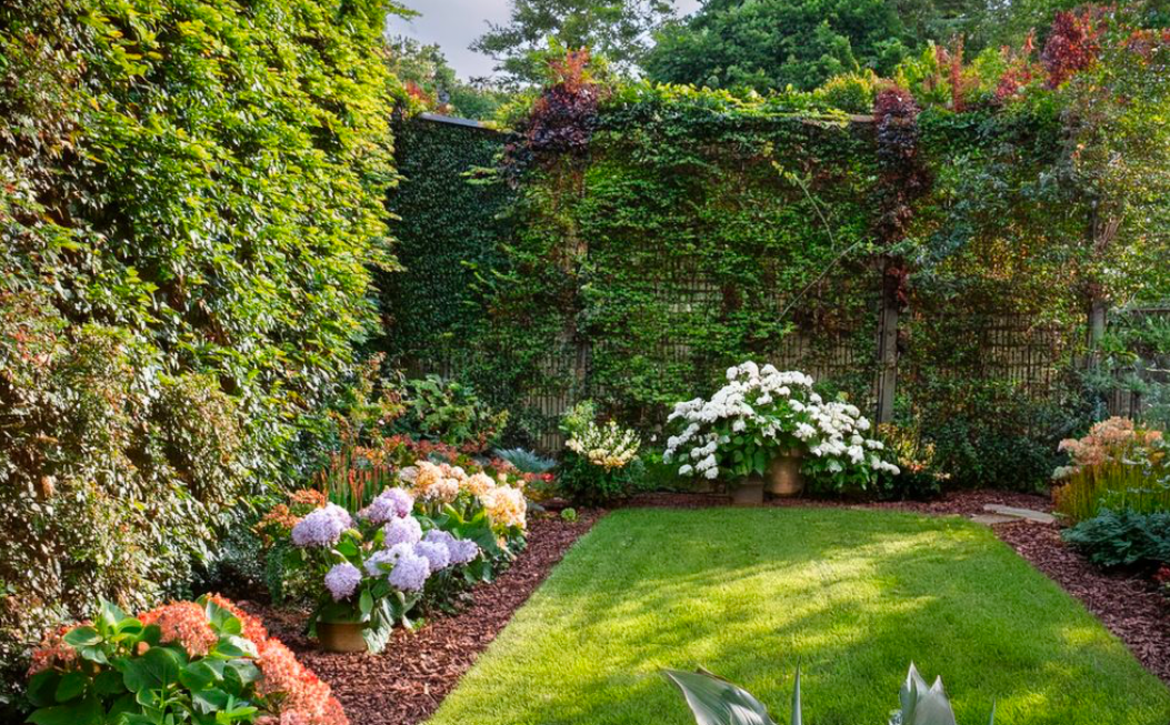 Gardener trimming brown tips from a houseplant leaf to promote healthy indoor plant growth