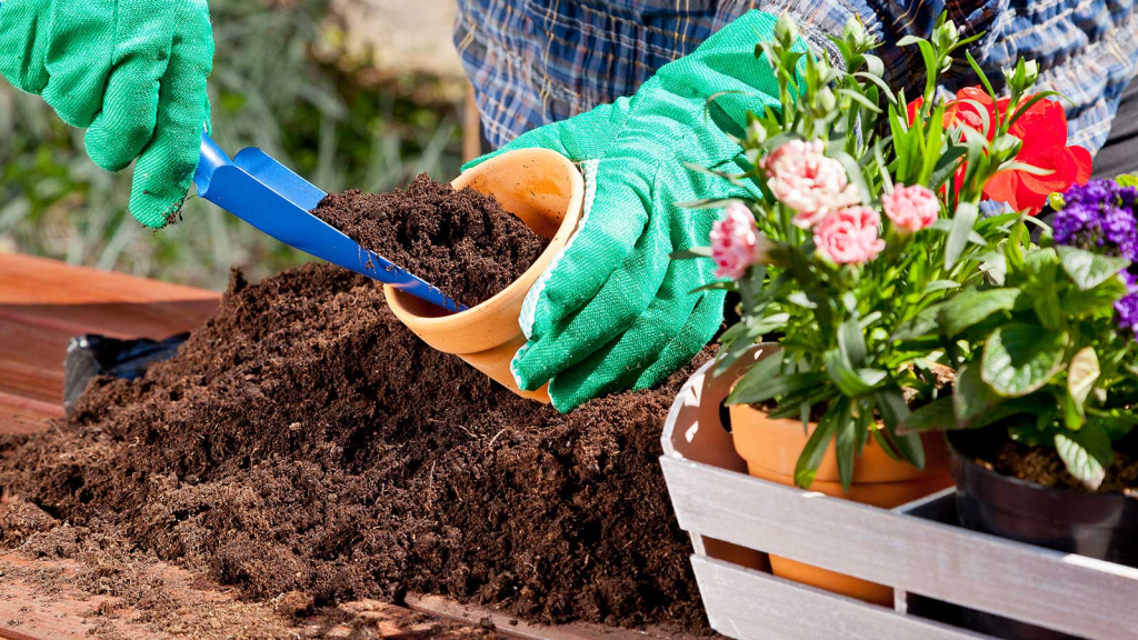 Gardener filling clay pots with fresh mix