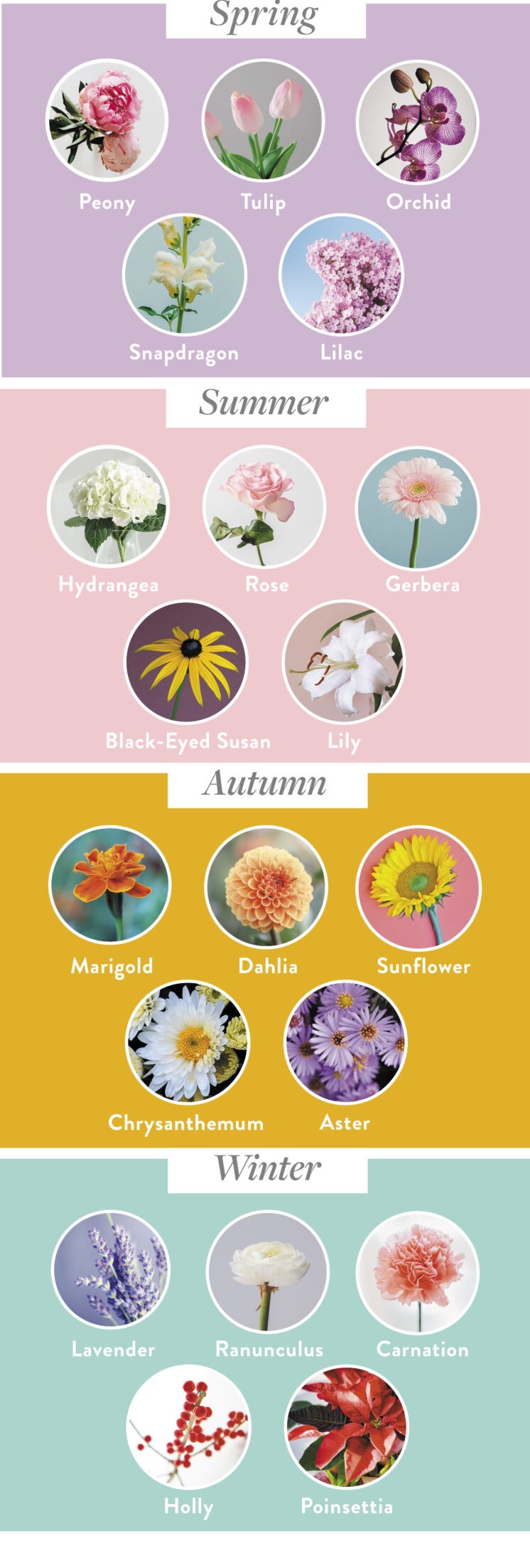 Flowers separated by season.