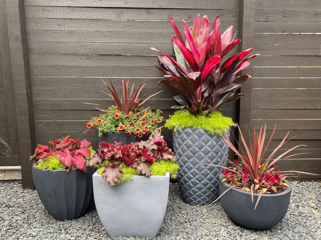 Arrangement of different size and color pots.