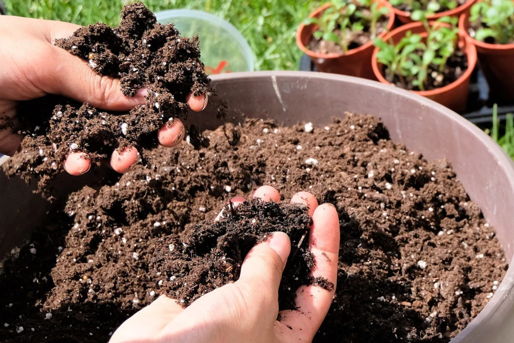 Close up of hands sifting through perlite infused potting soil.