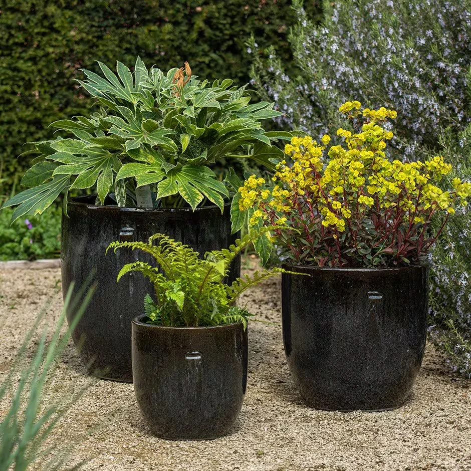 Glossy glazed ceramic pots with lush colorful plants, a living art piece.