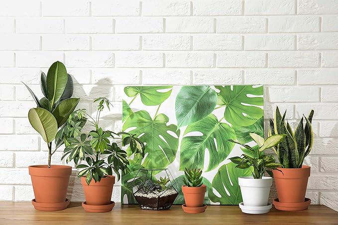 Plants in terracotta pots in found of a white brick wall alongside a painting of the leaves of a plant, Found On Amazon.