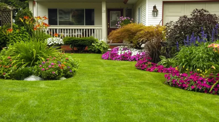 A well landscaped front yard