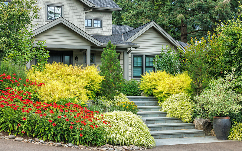 A diverse front yard garden.