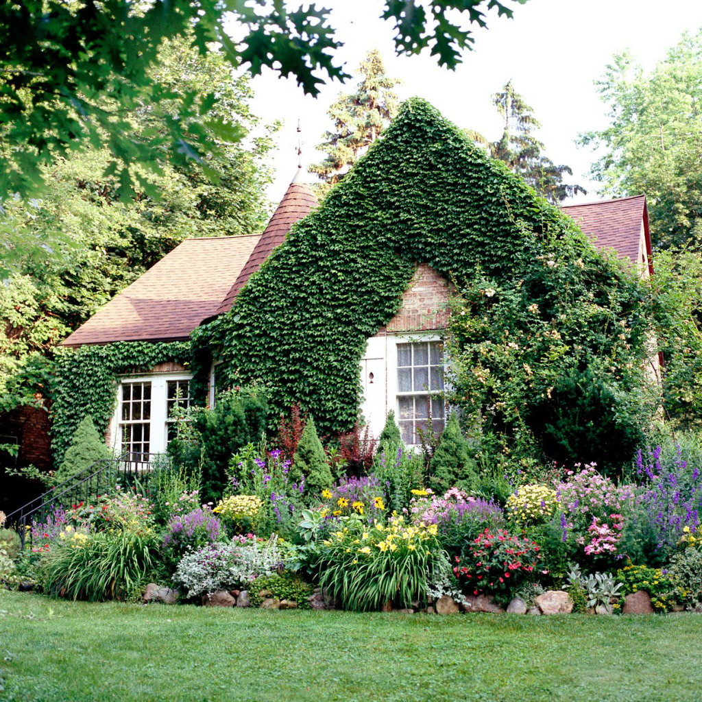 A cottage like garden with creeping plants up the side of the home.