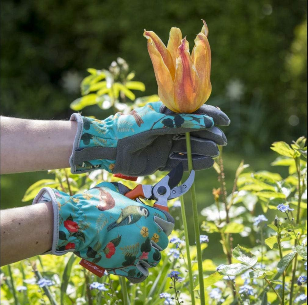 A gardener pruning flowers while wearing Burgon & Ball Flora & Fauna Design gloves