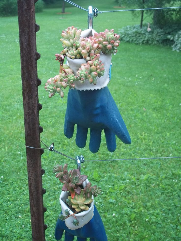 repurposed garden gloves into succulent holders.