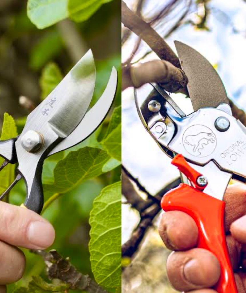 A side by side collage of two different pruning shears being used.