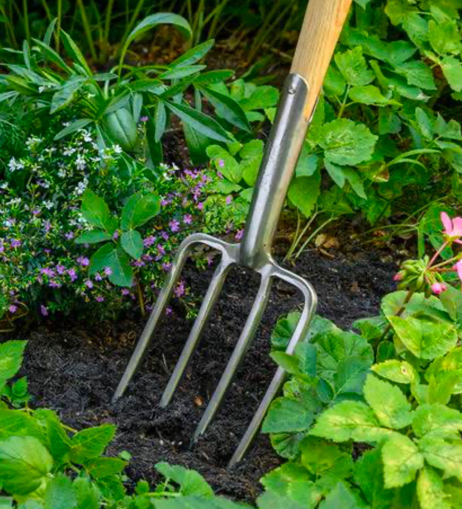 A gardening fork being used to dig into a garden.