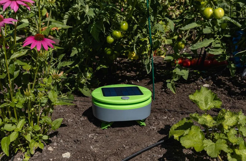 Solar-powered garden weeding robot working in a vegetable bed.