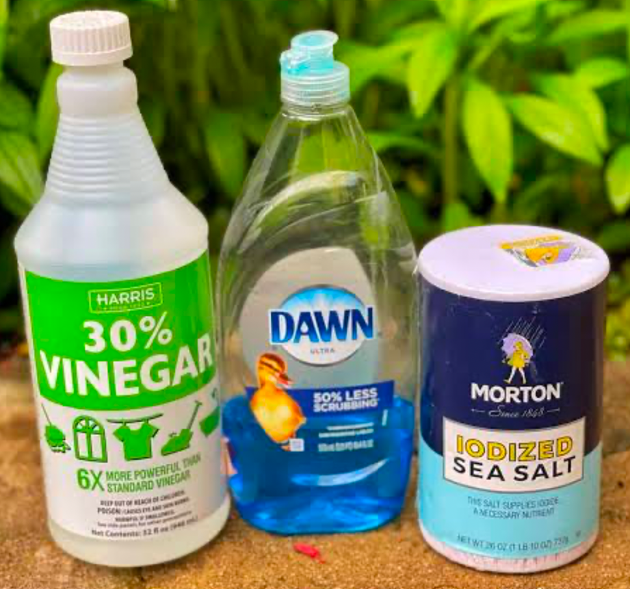 Vinegar, dish soap and salt ingredients for a DIY natural weed killer.