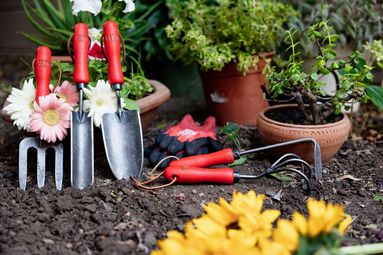 Gardening tools laid out on soil alongside container plants