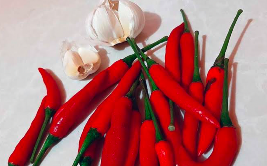 Fresh red chili peppers and garlic for a homemade organic pest repellent spray.