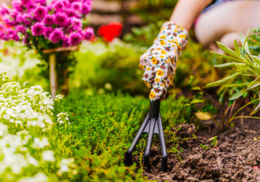 Seasonal garden maintenance guarantees year round bloom