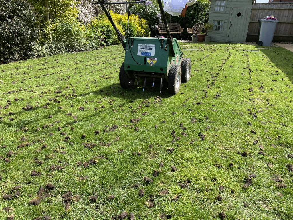 A gas operated core aerator at the center of a lawn it recently aerated evident from the plugs still on the lawn's surface.
