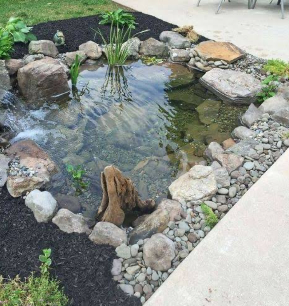 Small backyard pond with rocks, aquatic plants, and a bubbling waterfall.