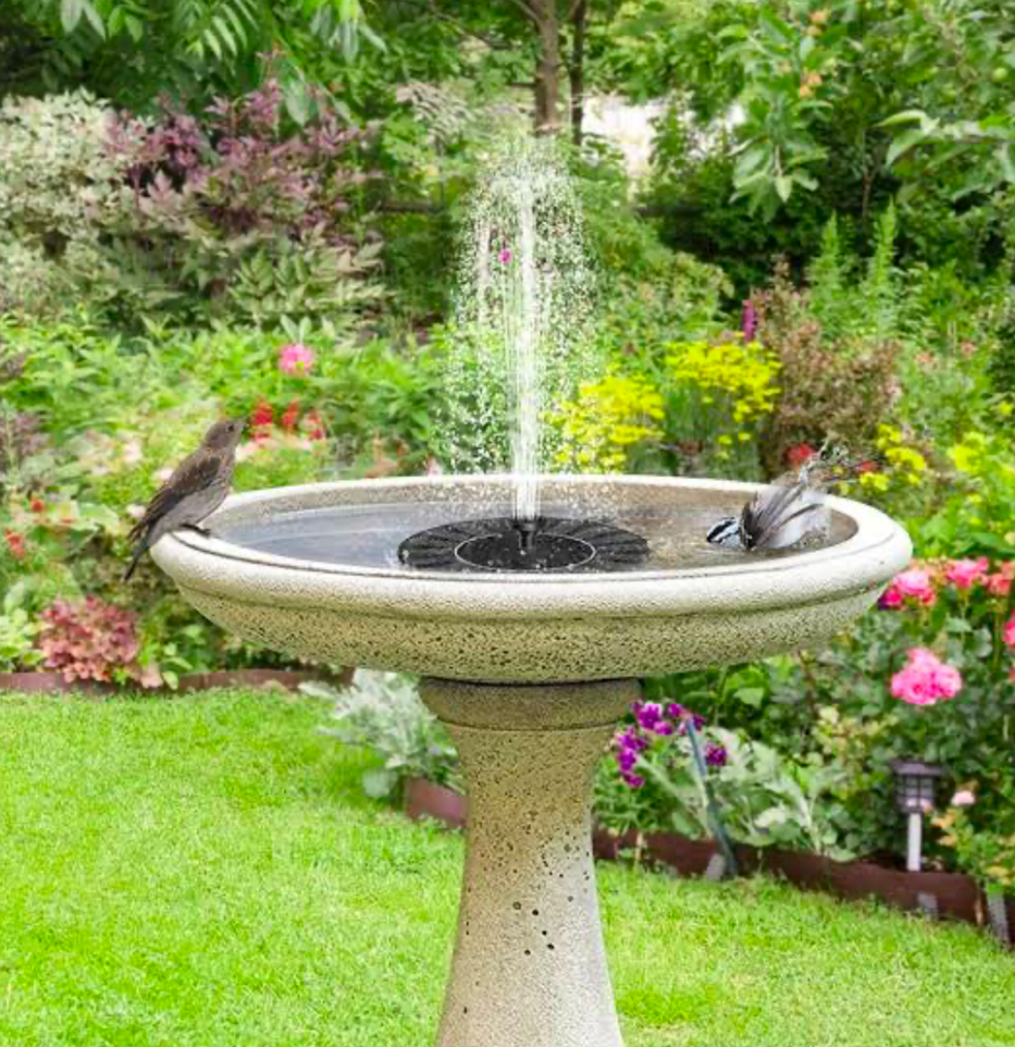 Birdbath fountain spraying water with garden birds in a blooming backyard.