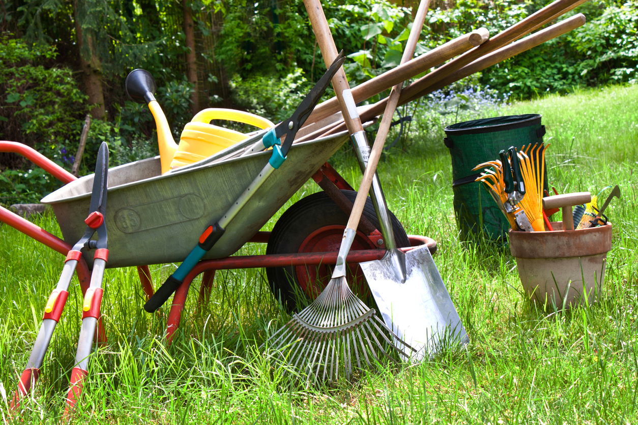 Gardening tools including a wheel borrow, pruners, watering can, rake, and shovel in an overgrown yard.