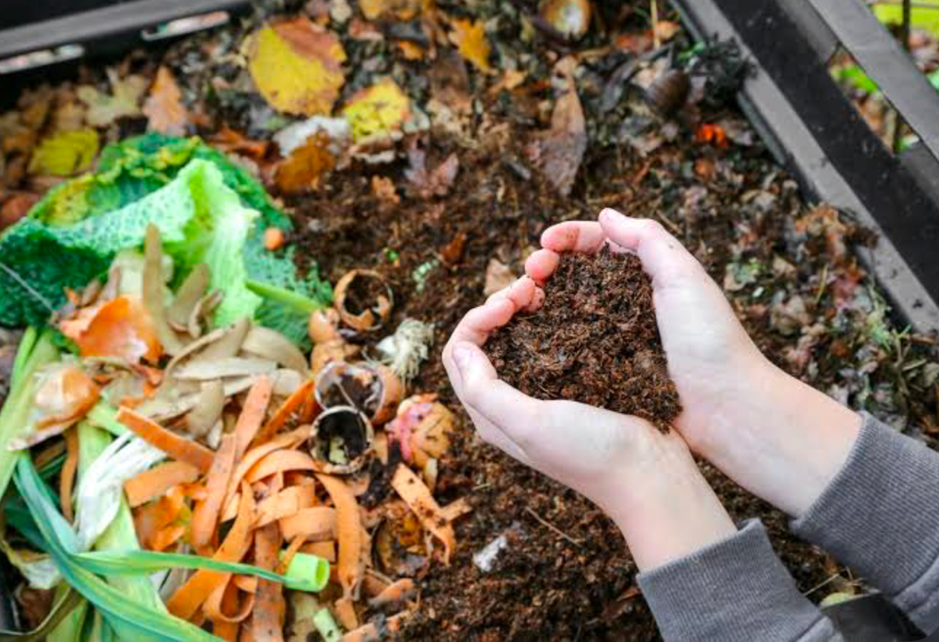 Hands holding rich compost from scraps