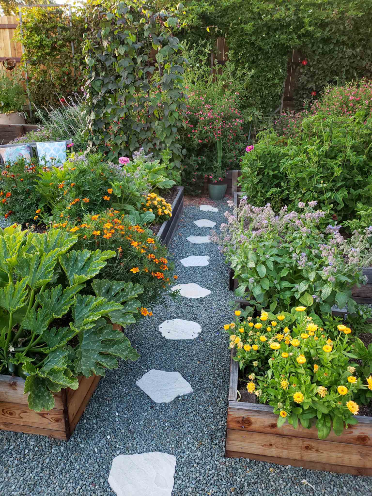 Companion planted garden in raised beds.