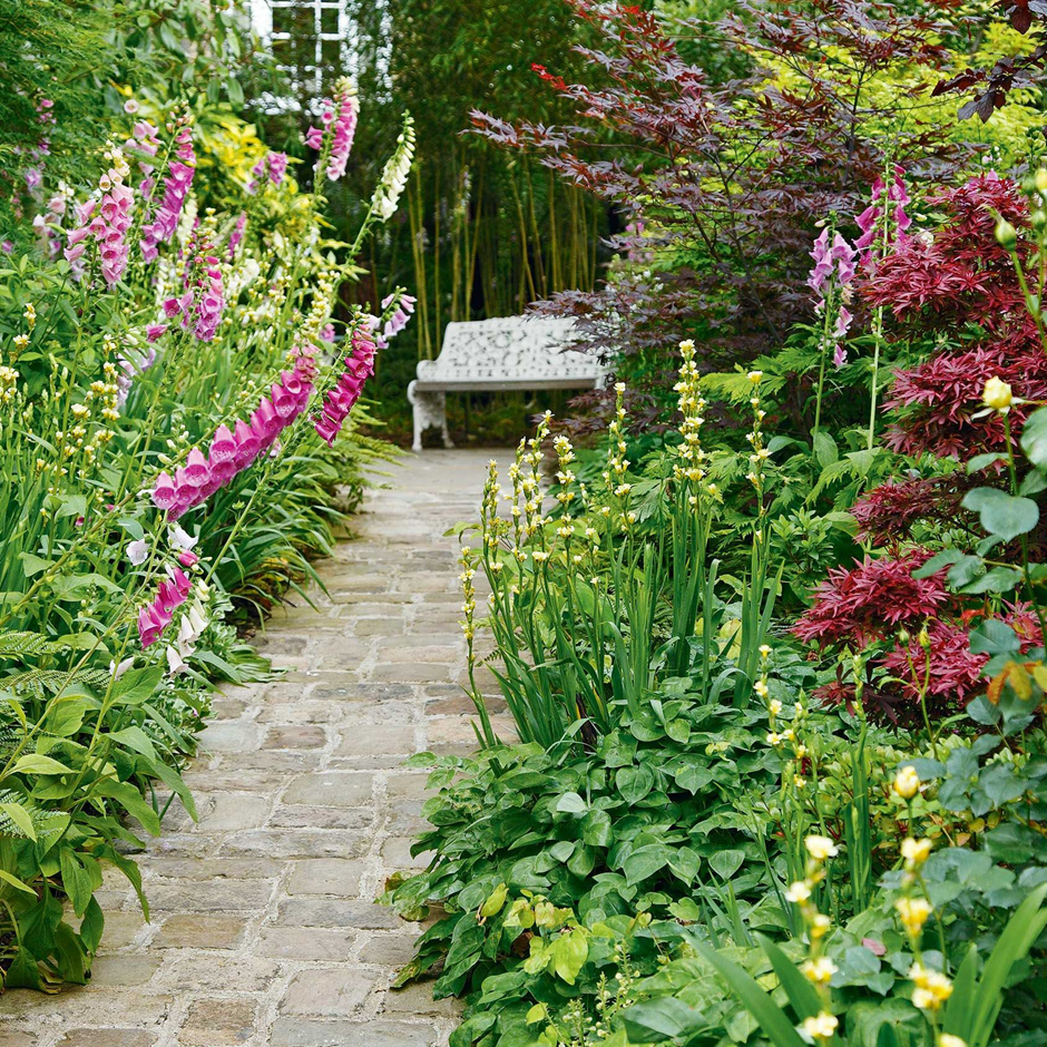 Brick garden path lined with foxgloves and mixed greenery