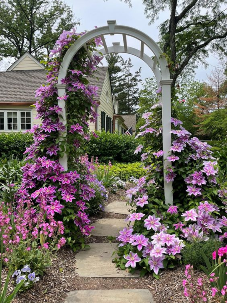 White garden arbor covered in pink clematis flowers
