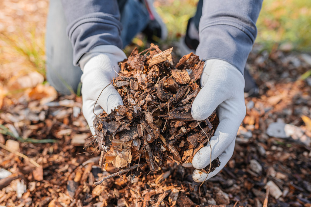 A gardener with a gloved hand of mulch  on display.