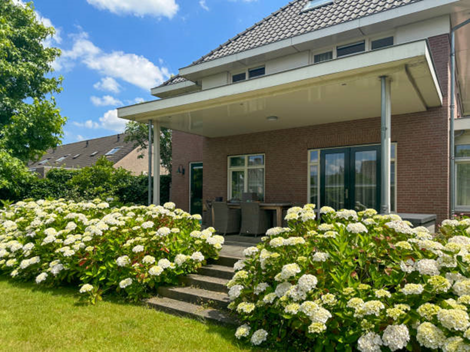 Backyard patio and covered porch framed by white hydrangea hedge