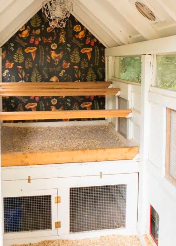 Chicken coop interior with roosts and bedding.