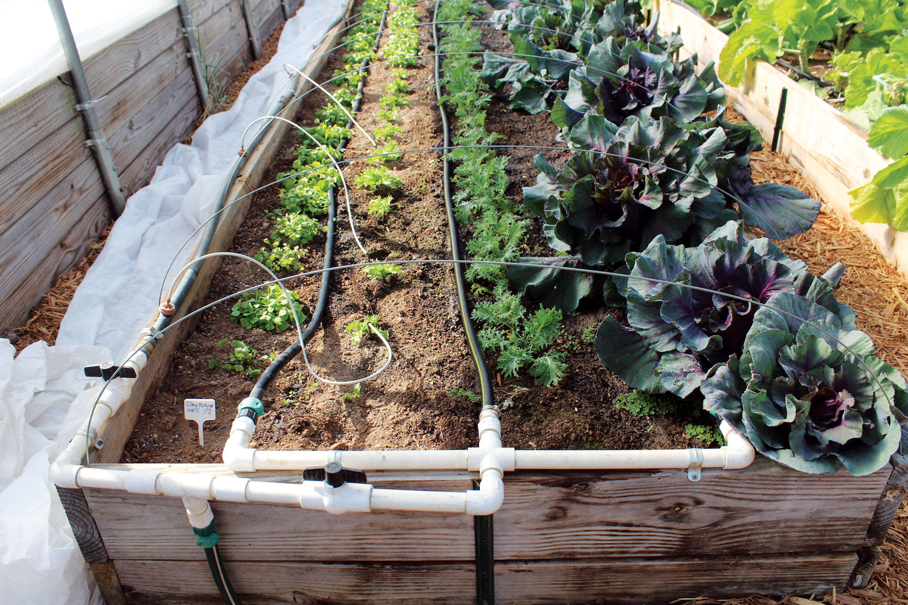 A drip irrigation system setup in a raised garden bed.