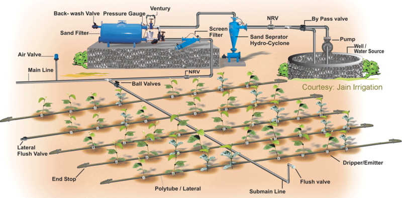 An example diagram of how a drip irrigation system works.