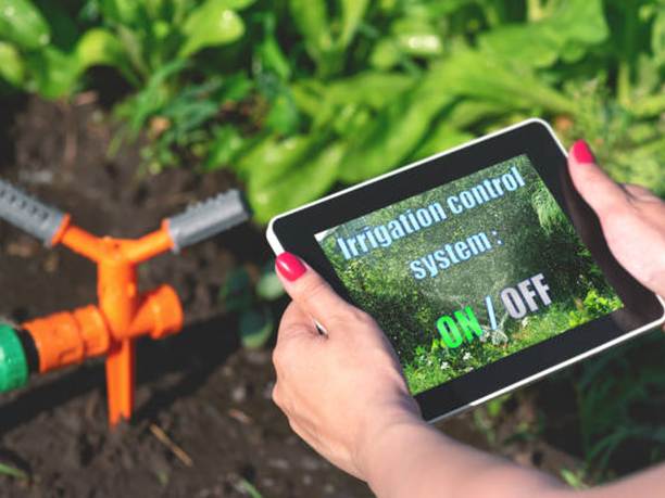 A gardener using a tablet to control irrigation systems.