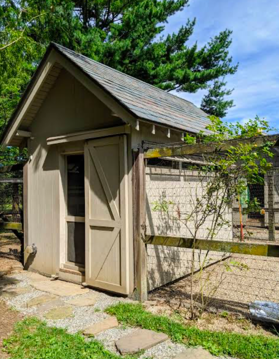 Backyard chicken coop with walk-in run.