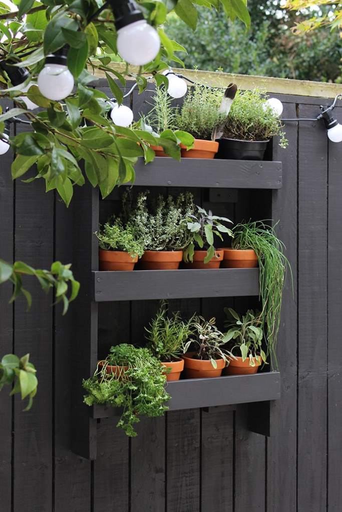 Repurposed pallet painted gray to match the fence and made into a plant holder brimming with herbs affixed to the fence.
