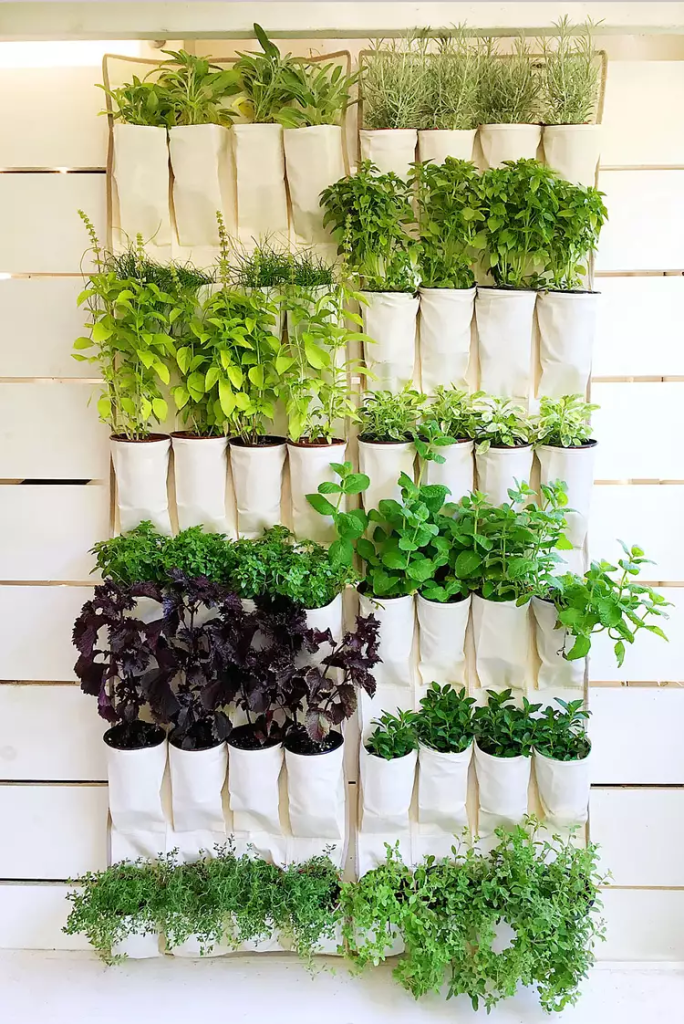 Two vertical shoe holders being used as planters.