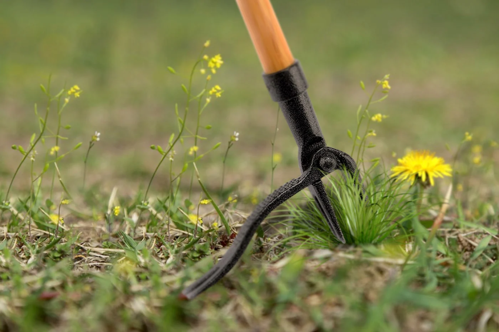 A weed pulling tool positioned right atop a weed.