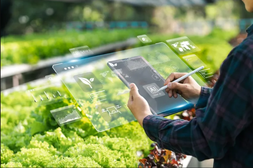 A futuristic diagram of a hologram tablet being used to control a garden.